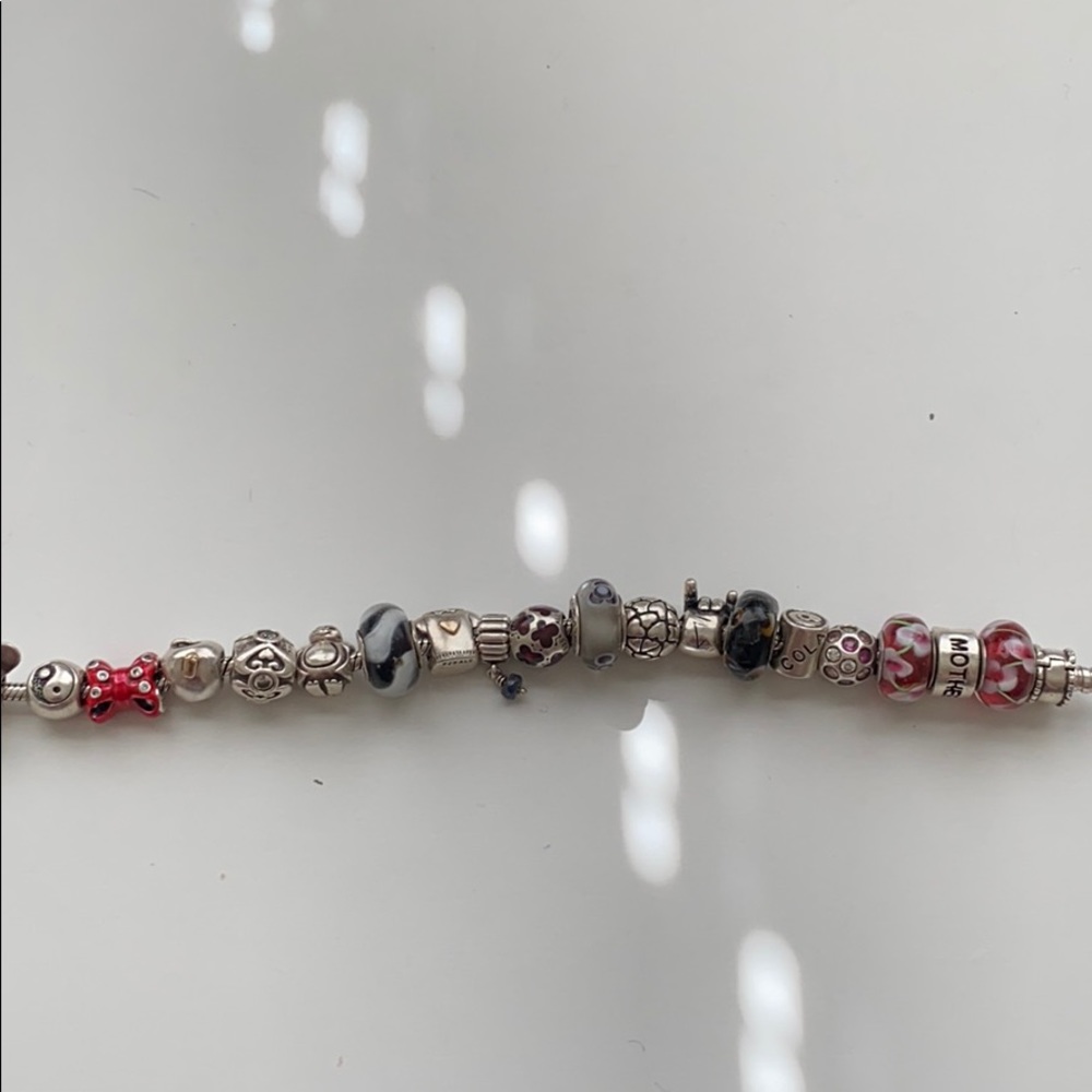 Assorted Pandora Charms